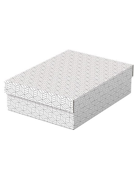 Esselte 628284 scatola di conservazione Armadietto portaoggetti Rettangolare Cartoncino Bianco