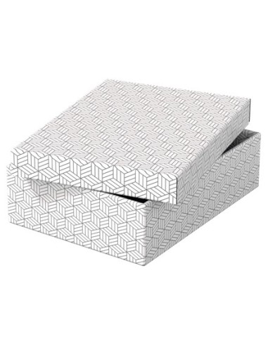 Esselte 628284 scatola di conservazione Armadietto portaoggetti Rettangolare Cartoncino Bianco