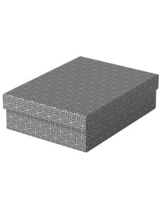 Esselte 628285 scatola di conservazione Armadietto portaoggetti Rettangolare Cartoncino Grigio