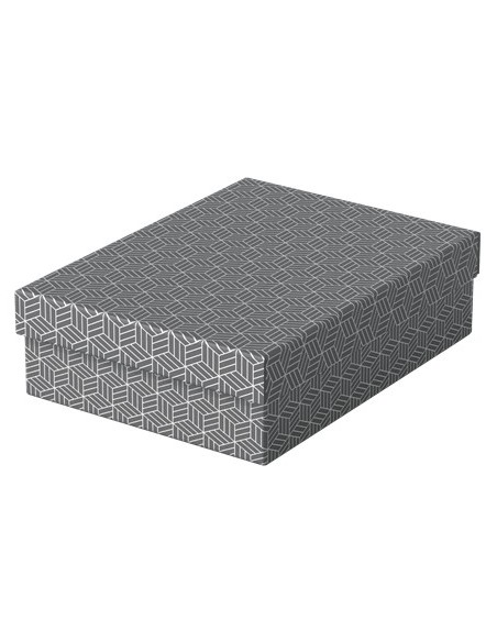 Esselte 628285 scatola di conservazione Armadietto portaoggetti Rettangolare Cartoncino Grigio