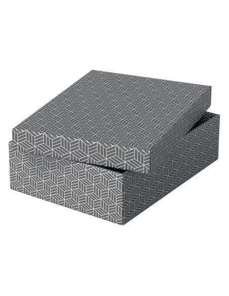 Esselte 628285 scatola di conservazione Armadietto portaoggetti Rettangolare Cartoncino Grigio