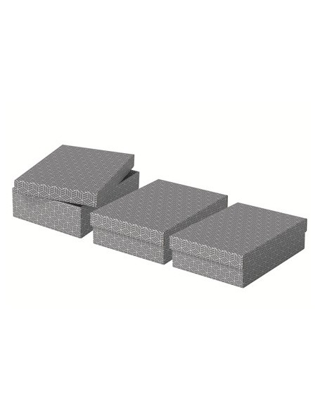 Esselte 628285 scatola di conservazione Armadietto portaoggetti Rettangolare Cartoncino Grigio