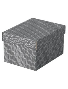 Esselte 628281 scatola di conservazione Armadietto portaoggetti Rettangolare Cartoncino Grigio