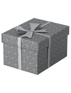 Esselte 628281 scatola di conservazione Armadietto portaoggetti Rettangolare Cartoncino Grigio 2