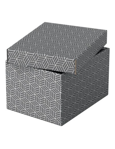 Esselte 628281 scatola di conservazione Armadietto portaoggetti Rettangolare Cartoncino Grigio