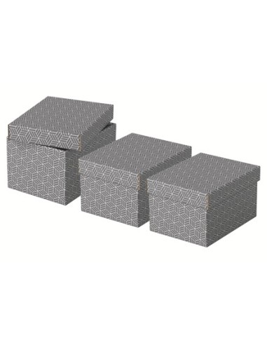 Esselte 628281 scatola di conservazione Armadietto portaoggetti Rettangolare Cartoncino Grigio