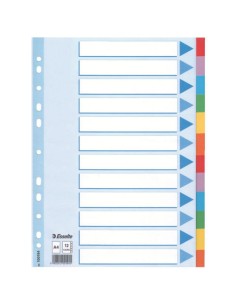 Esselte Multi-coloured Cardboard Dividers divisore 10 pz