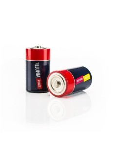 Nilox ALKALR20D00001 batteria per uso domestico Batteria ricaricabile D Alcalino