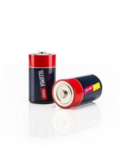 Nilox ALKALR20D00001 batteria per uso domestico Batteria ricaricabile D Alcalino