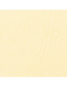 GBC Copertine rilegatura LeatherGrain 250 gsm A4 avorio (100)