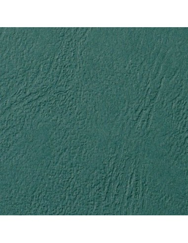 GBC 100 ANTELOPE 250G A4 VERDE BOS