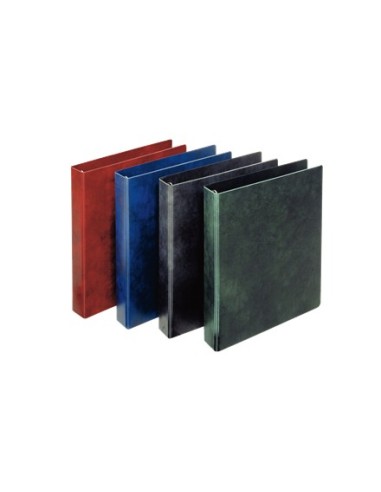 Esselte 390550050 raccoglitore ad anelli 245 x 305 mm Blu