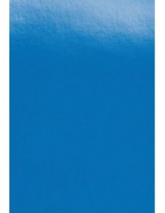 GBC Copertine per rilegatura PolyOpaque A4 300 micron blu (100)