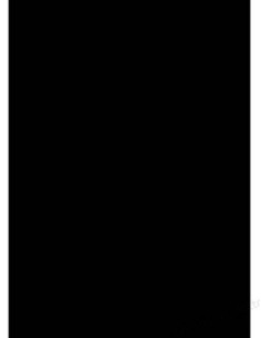 GBC Copertine rilegatura PolyOpaque A4 300 micron nere (100)