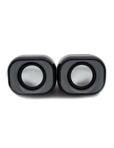 Nilox CASSE ACUSTICHE PREAMPLIFICATE 100W 2-vie Nero Cablato 2 W