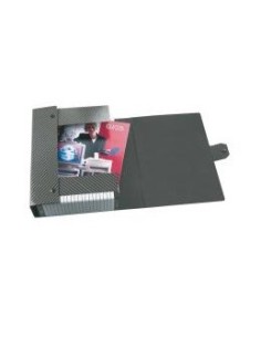 Esselte 390304040 scatola per la conservazione di documenti Grigio