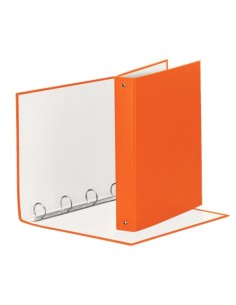 Esselte 395792200 raccoglitore ad anelli Arancione