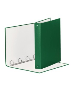 Esselte 395792600 raccoglitore ad anelli Verde