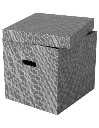 Esselte 628289 scatola di conservazione Armadietto portaoggetti Rettangolare Cartoncino Grigio