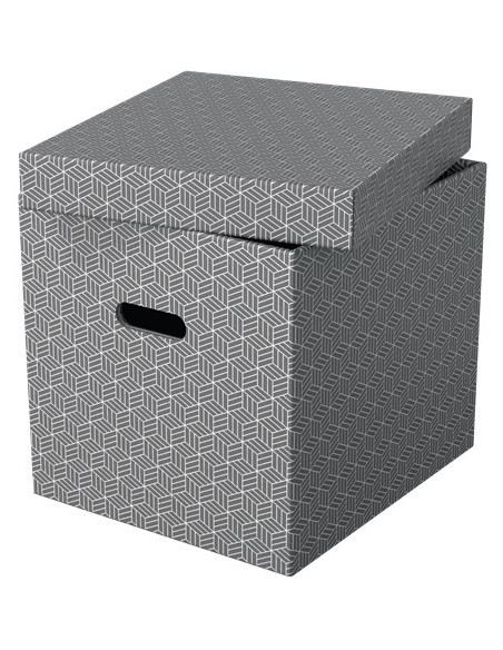Esselte 628289 scatola di conservazione Armadietto portaoggetti Rettangolare Cartoncino Grigio