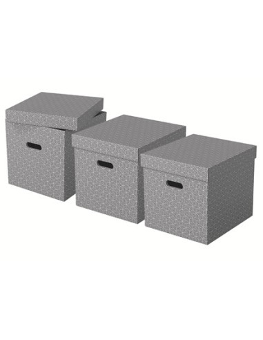 Esselte 628289 scatola di conservazione Armadietto portaoggetti Rettangolare Cartoncino Grigio