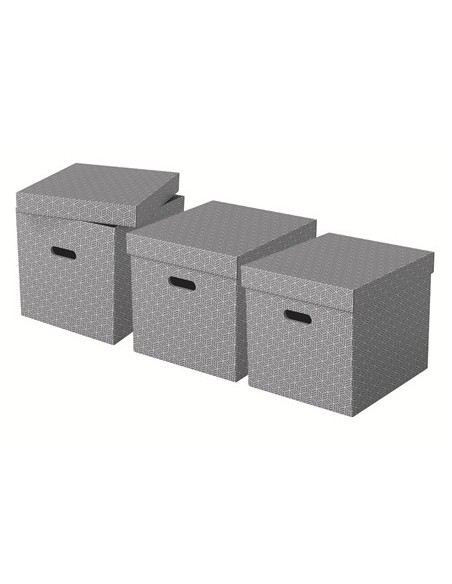 Esselte 628289 scatola di conservazione Armadietto portaoggetti Rettangolare Cartoncino Grigio