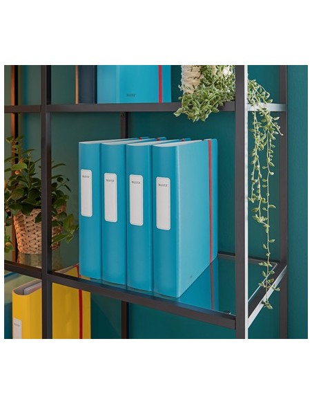 Leitz 10390061 raccoglitore ad anelli A4 Blu