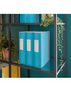 Leitz 10380061 raccoglitore ad anelli A4 Blu 2