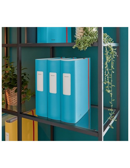 Leitz 10380061 raccoglitore ad anelli A4 Blu