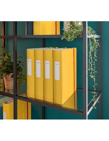 Leitz 10390019 raccoglitore ad anelli A4 Giallo