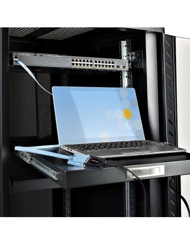 StarTech.com 1P3FPC-USB-SERIAL adattatore per inversione del genere dei cavi DB-9 USB Type-A (4 pin) USB 2.0 Nero