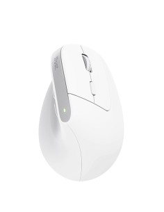 Trust Bayo+ mouse Ufficio Mano destra RF senza fili + Bluetooth Ottico 2400 DPI 2