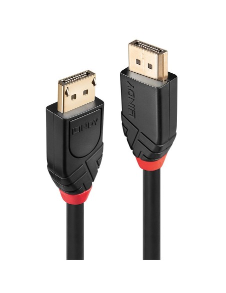 Lindy 41081 cavo DisplayPort 20 m Nero