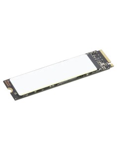 Lenovo 4XB1M86956 drives allo stato solido 2 TB M.2 PCI Express 4.0 NVMe