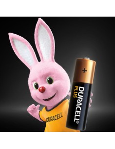 Duracell Plus 100 AA B8 x12 2