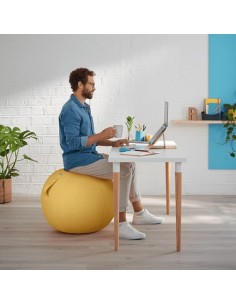 Leitz Ergo Cosy Giallo Interno Rotondo 2