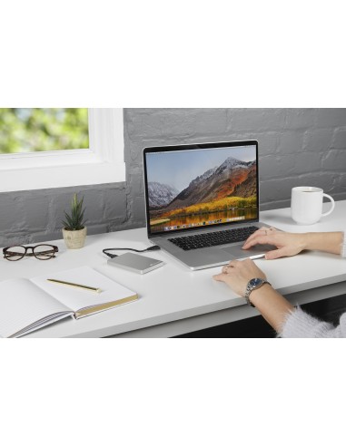 Verbatim Disco rigido portatile Store 'n' Go ALU Slim da 1 TB Argento