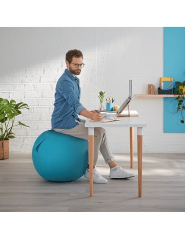 Leitz Ergo Cosy Blu Interno Rotondo