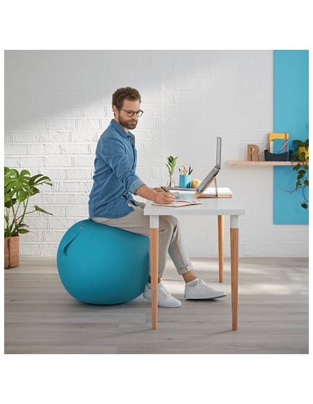 Leitz Ergo Cosy Blu Interno Rotondo