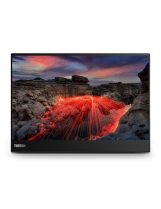 Lenovo ThinkVision M14t LED display 35,6 cm (14") 2240 x 1400 Pixel 2.2K Touch screen Nero