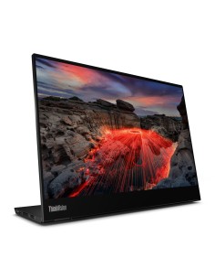 Lenovo ThinkVision M14t LED display 35,6 cm (14") 2240 x 1400 Pixel 2.2K Touch screen Nero 2