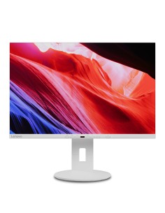 Lenovo C24d-20 LED display 61 cm (24") 1920 x 1200 Pixel Full HD Grigio, Bianco