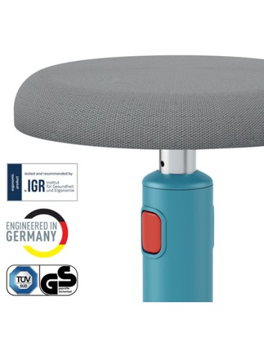 Leitz Ergo Cosy Active Seduta imbottita