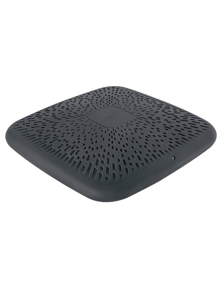 Leitz 65390089 allenamento di equilibrio Cuscino per equilibrio Grigio