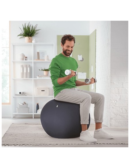 Leitz Ergo Grigio Interno Sfera