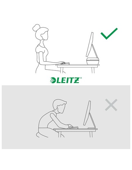 Leitz Ergo Adjustable Monitor Stand 68,6 cm (27") Scrivania Grigio