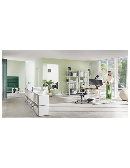 Leitz Ergo Adjustable Monitor Stand 68,6 cm (27") Scrivania Grigio