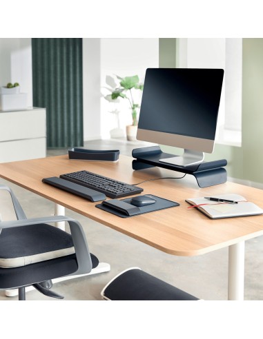 Leitz 65400089 federa per cuscino Grigio