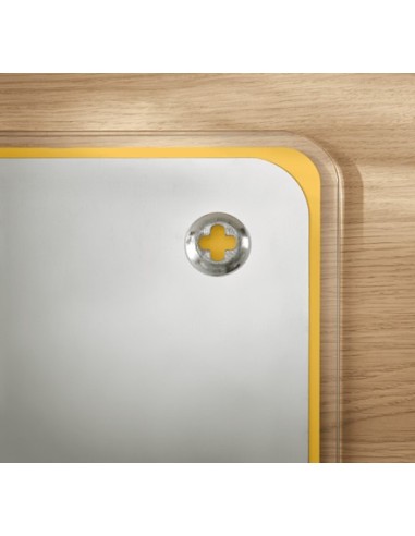 Leitz 70440019 lavagna 450 x 450 mm Vetro Magnetico