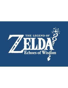 Nintendo The Legend of Zelda  Echoes of Wisdom 2